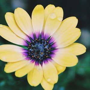 Meet your Posher, Autumn